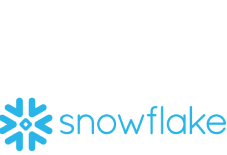 logo_snowflake